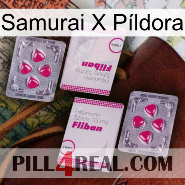 Samurai X Píldora 33.jpg